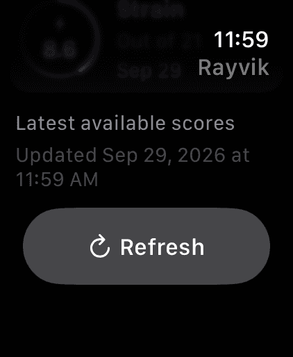Rayvik Watch app scrolled to the update time and Refresh button